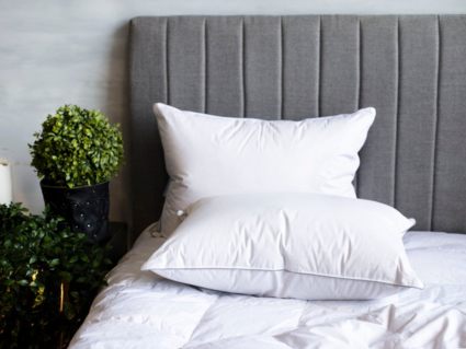 Подушка German Grass Gray Familie Down упругая