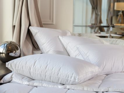 Подушка German Grass White Familie Down средняя