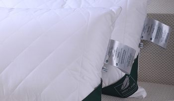 Подушка классическая 40х60 см Anna Flaum Flaum BIO BAMBUS