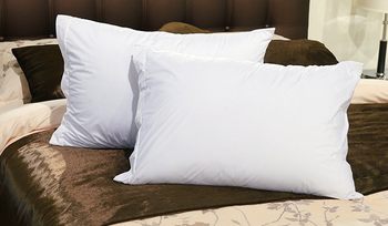 Подушка классическая 50х70 см Аскона Organic