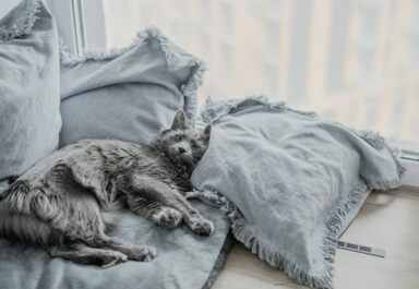 Рейтинг лучших подушек для сна