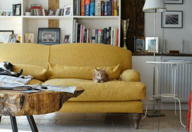 Диван аккордеон – что это?