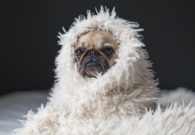 Какое одеяло теплее и самое лучшее на зиму?